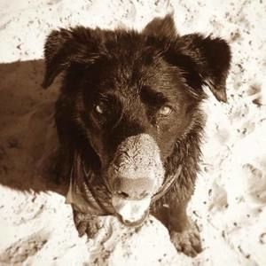 Meet your Posher, Jenny